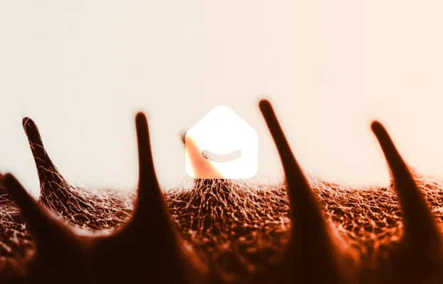 Craft Stunning Web Experiences Easily